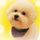 running man